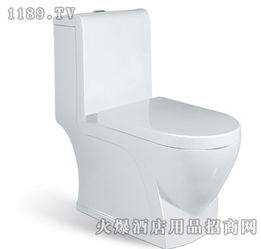 吉士普衛(wèi)浴 高品質衛(wèi)浴產品的展示與創(chuàng)業(yè)前景分析